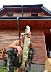 Jacek Michalski Ruda Śląska Szczupak 72 cm na żywca